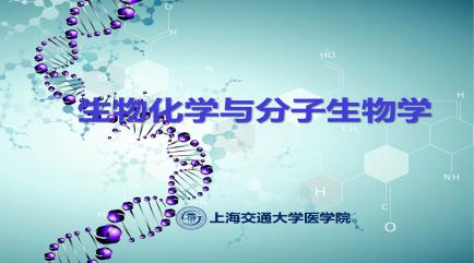 生物化学与分子生物学